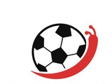 sportstalkhub Logo