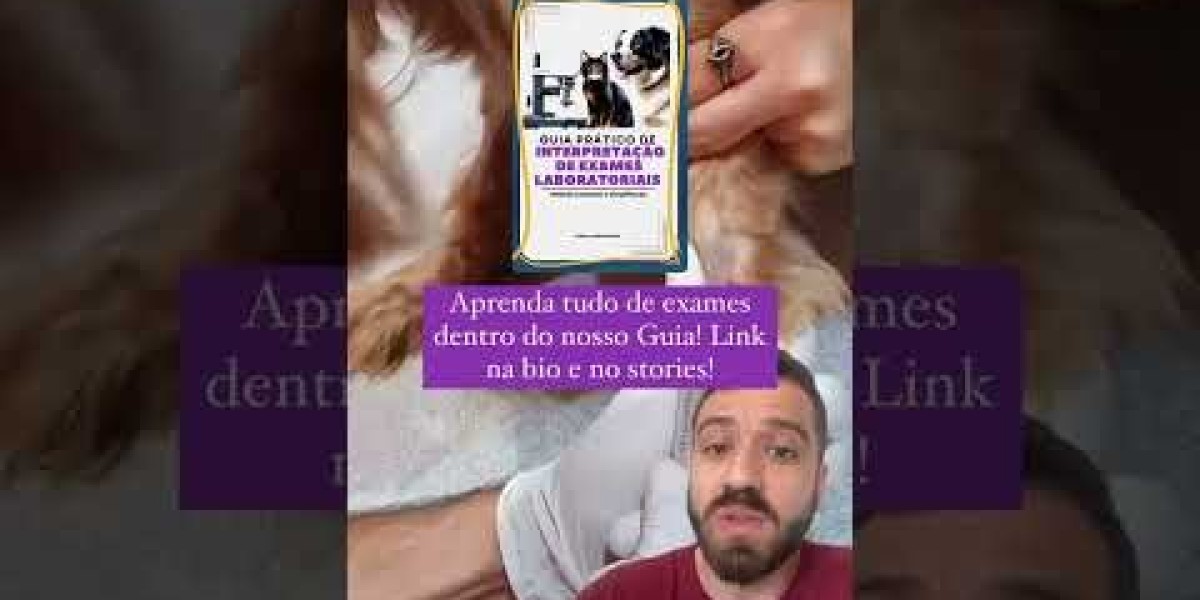 Tratamiento de la ALT alta en perros: causas, síntomas y soluciones