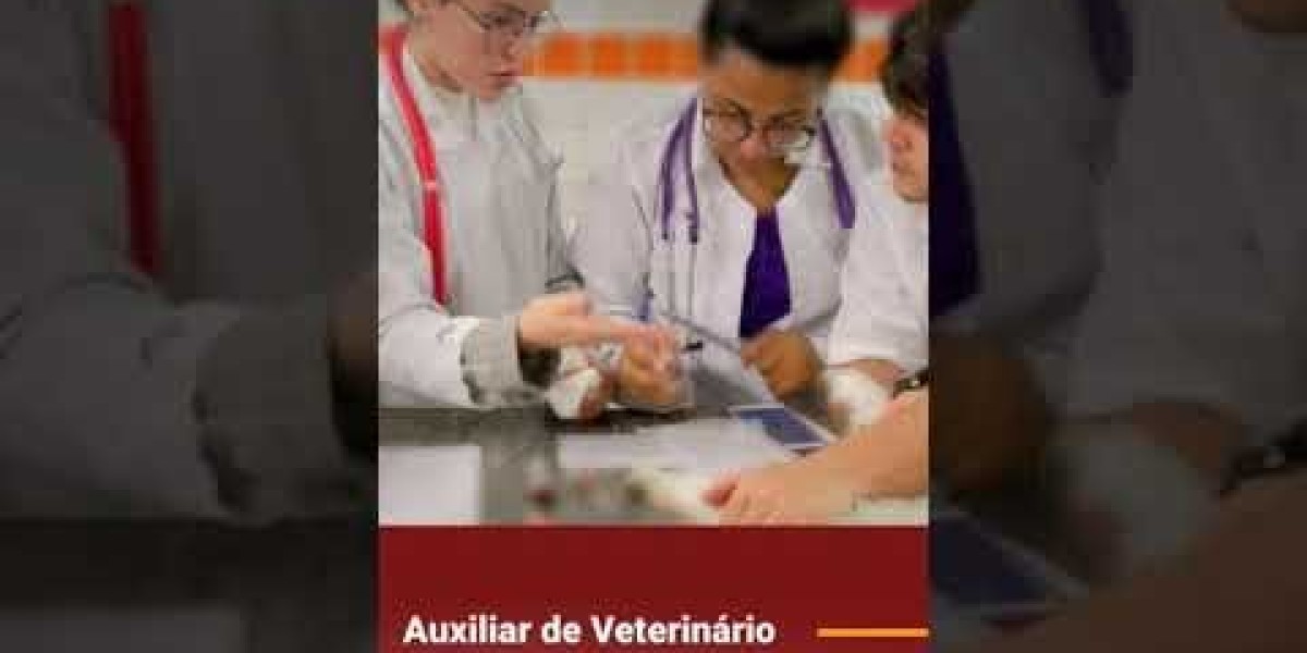 Insuficiencia renal en perros: Cómo afrontar la fase terminal