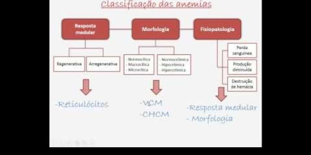 Análisis y estudio del frotis sanguíneo