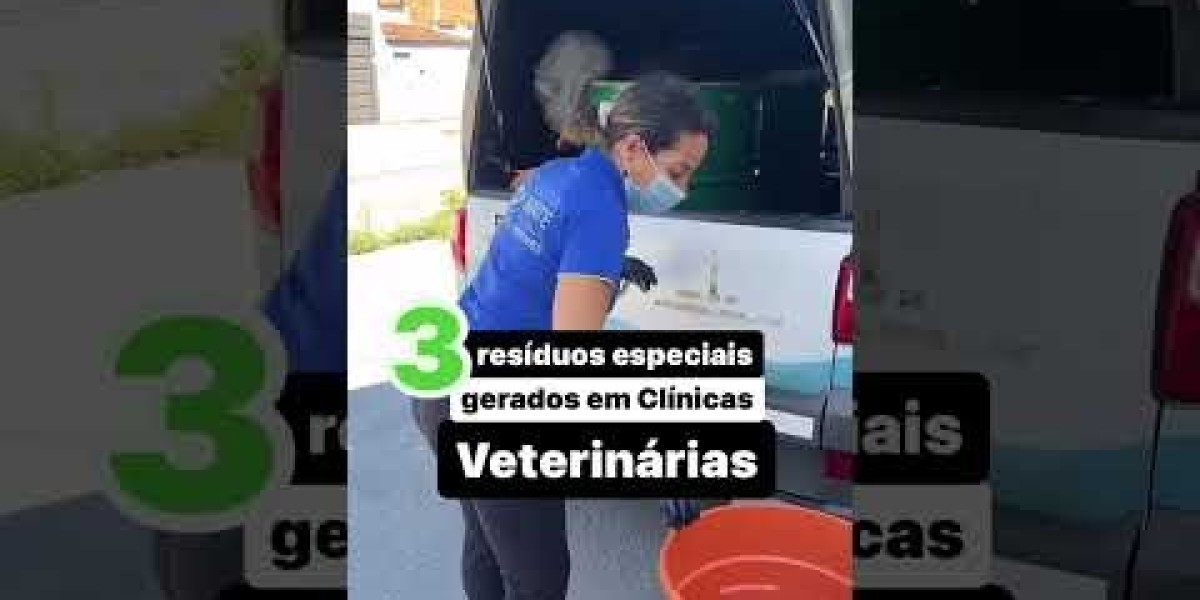 Problemas de hígado en perros: causas, síntomas y soluciones