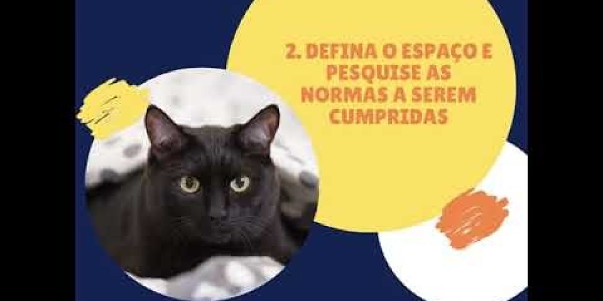 Descubra o Custo dos Exames de Sangue para Cães e Sua Importância para a Saúde do Seu Melhor Amigo