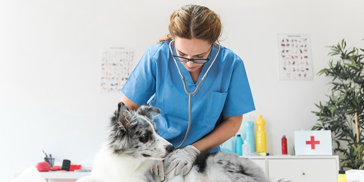 Chronic Kidney Disease: Living with Your Pet and the Diagnosis College of Veterinary Medicine at MSU