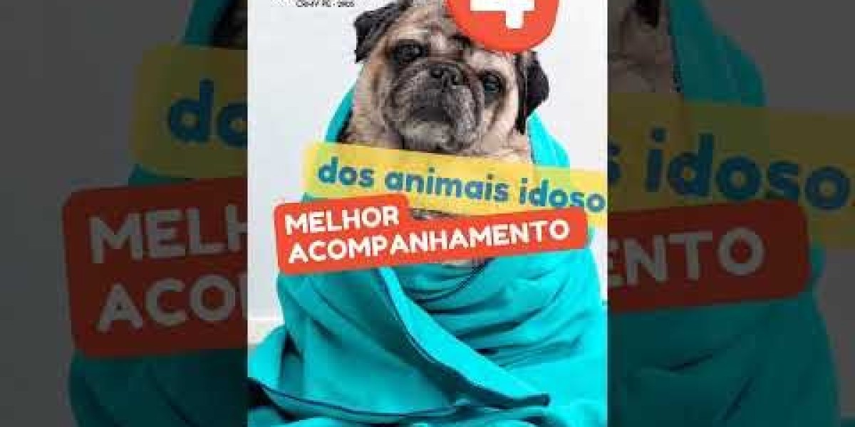 Guía completa para tratar el hígado hinchado en perros