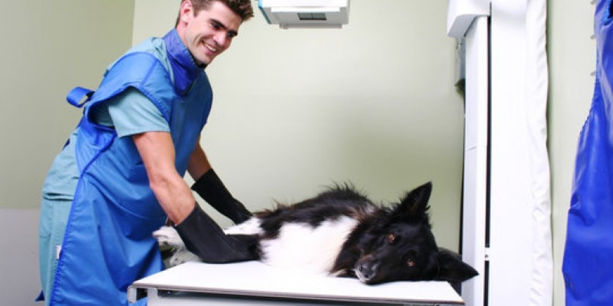 Types of Veterinary Medical Tests Special Pet Topics