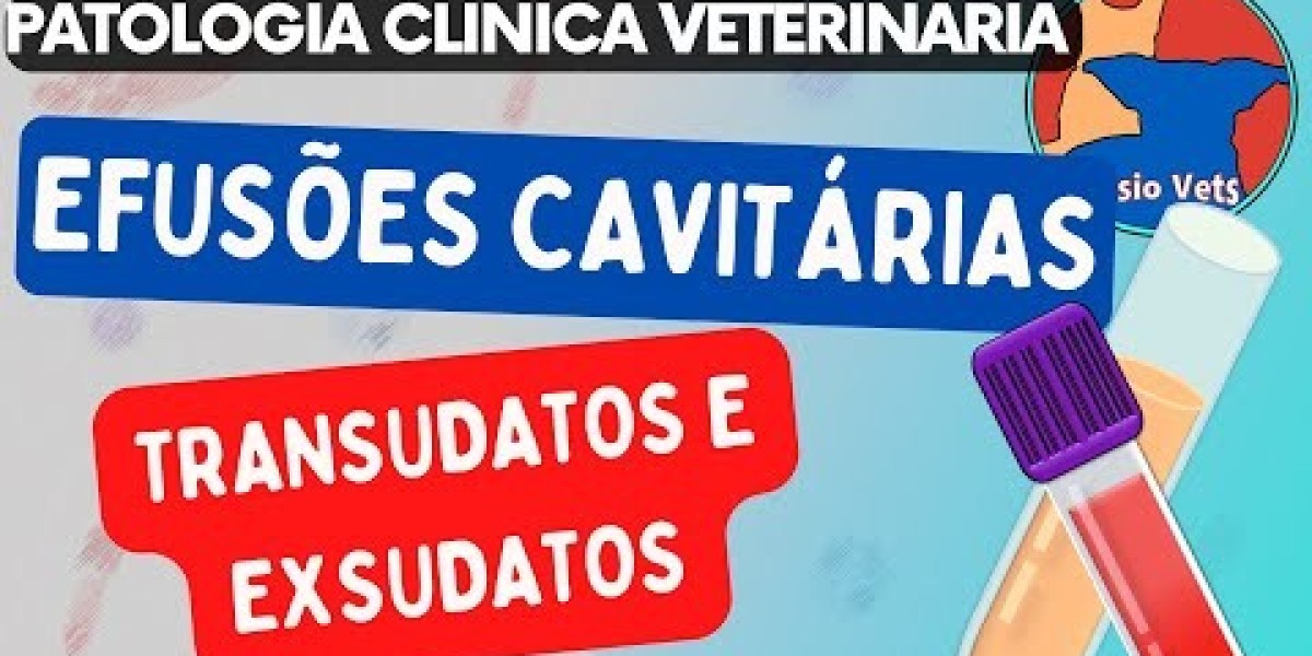 Entenda o Custo do Ultrassom Veterinário e Como Ele Pode Beneficiar Seu Pet