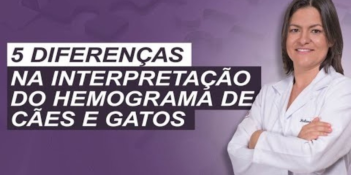 Leptospirosis: Lo que todo dueño de perro debe saber