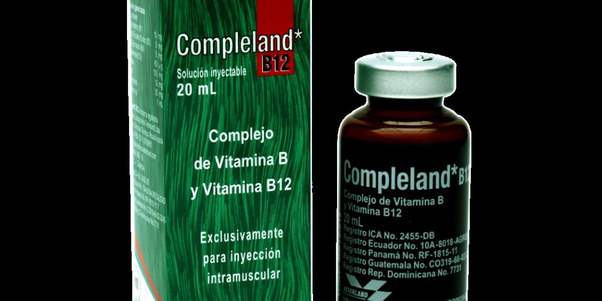 Beneficios y funciones del complejo de vitaminas B1, B6 y B12: ¡Potencia tu salud de manera integral!