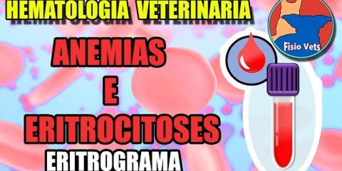 Entendendo o Diagnóstico de Problemas de Pele em Pets: O Que Seu Animal Pode Revelar Durante o Exame?