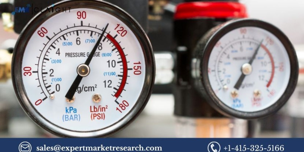 Pressure Gauge Market: Growth, Trends, and Insights for 2025-2034