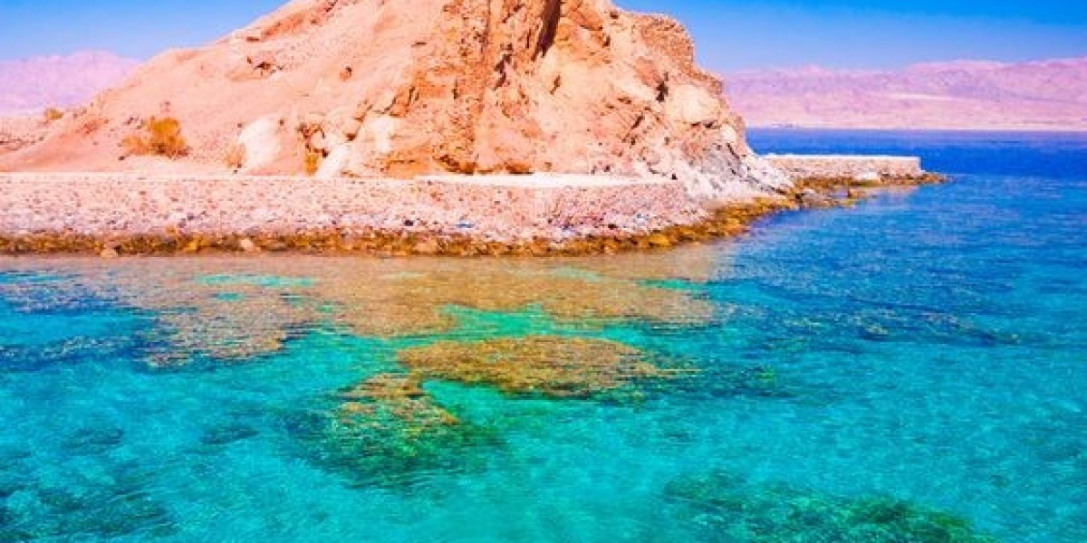 Red Sea Happy Tour Ausflug: Unforgettable Adventures by the Red Sea