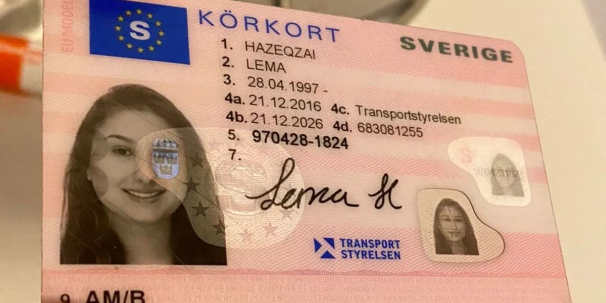 Say Goodbye to DMV Hassles? Navigating the World of "Online Driving License" Services